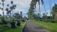 Area persawahan di Desa Rejo Agung yang berada di Dusun Reces, Kecamatan Sumberwringin, Kabupaten Bondowoso. Area persawahan di Desa Rejo Agung yang berada di Dusun Reces, Kecamatan Sumberwringin, Kabupaten Bondowoso.