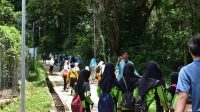 Melaksanakan kegiatan: KKN 111 UNS saat pelaksanaan kegiatan Sekolah Alam bersama siswa-siswi SD Desa Sewurejo di KHDTK Alas Bromo, Kamis (22/2/2024) (doc. pribadi)