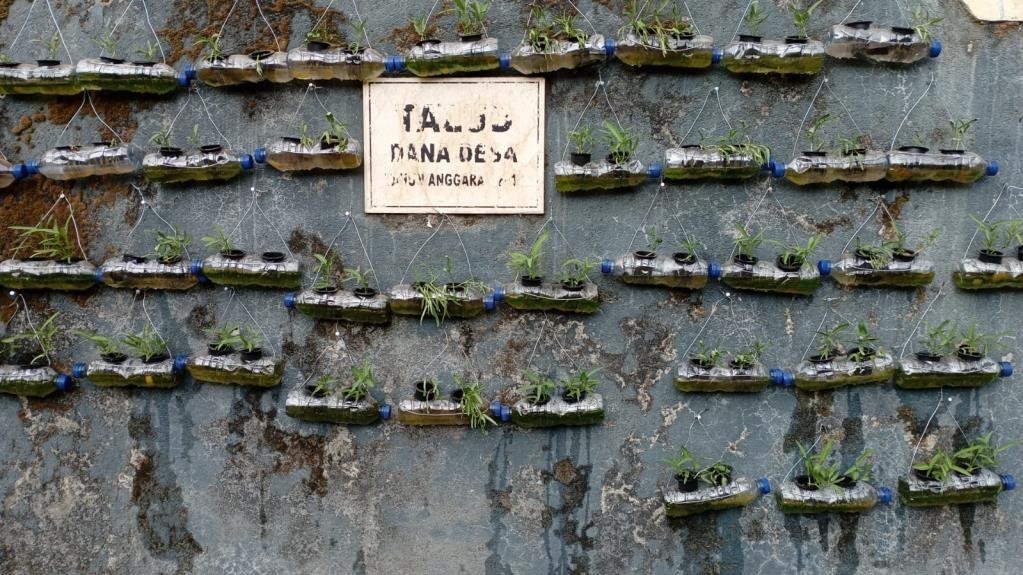 Hasil tanaman hidroponik kangkung memanfaatkan botol bekas dengan media rockwell. (doc. KSM-T 59 Unisma)