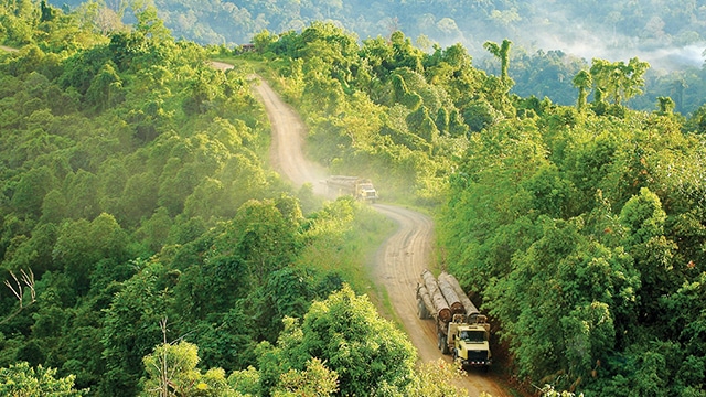 Ilustrasi foto/greeners.co