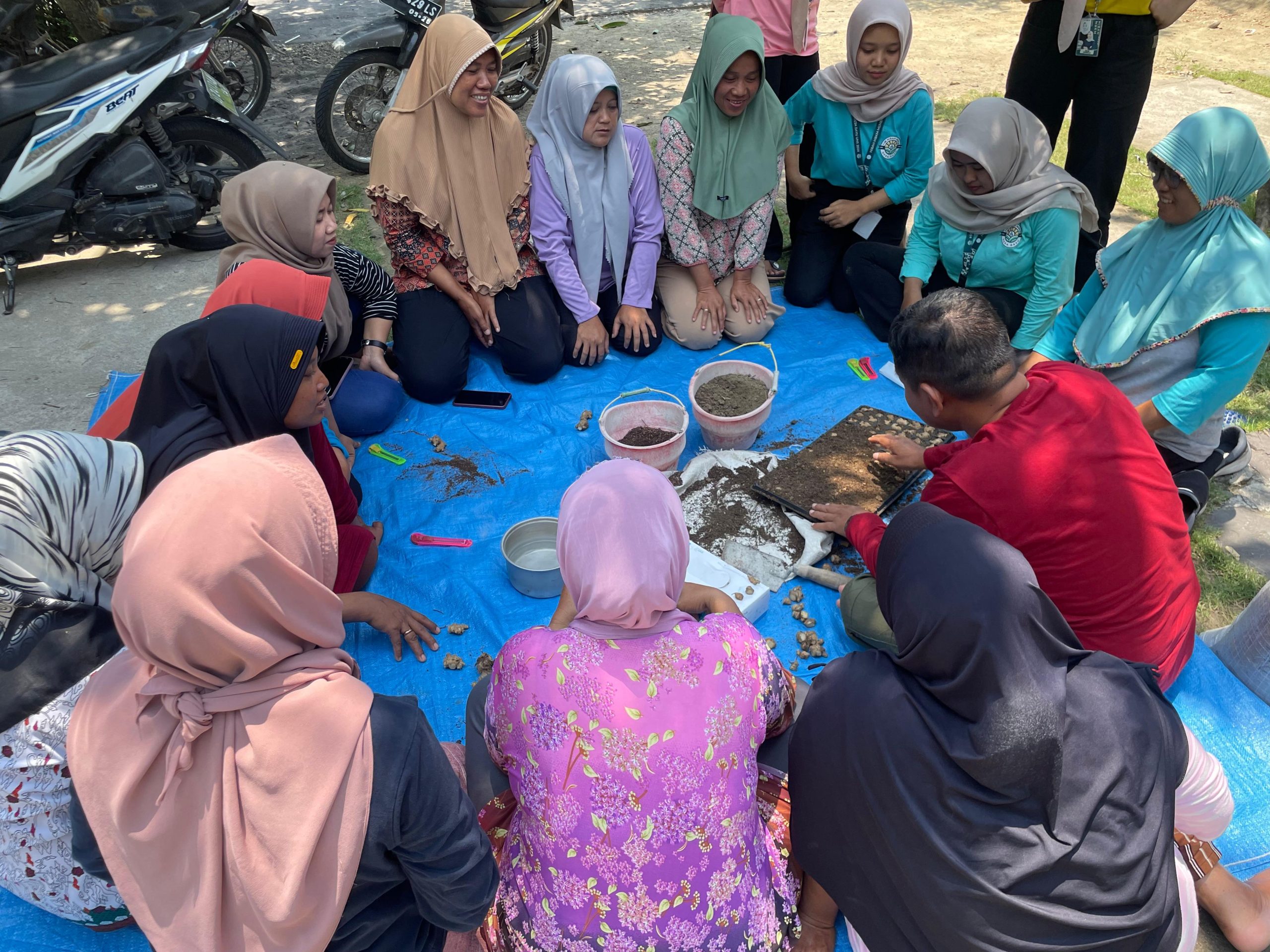 Demonstrasi persemaian bibit jahe. (doc. Tim MBKM UNS Desa Dayu)