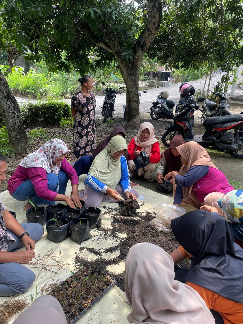 Antusias KWT Ngudi Rejeki saat penanaman bibit jahe. (doc. Tim MBKM UNS Desa Dayu)