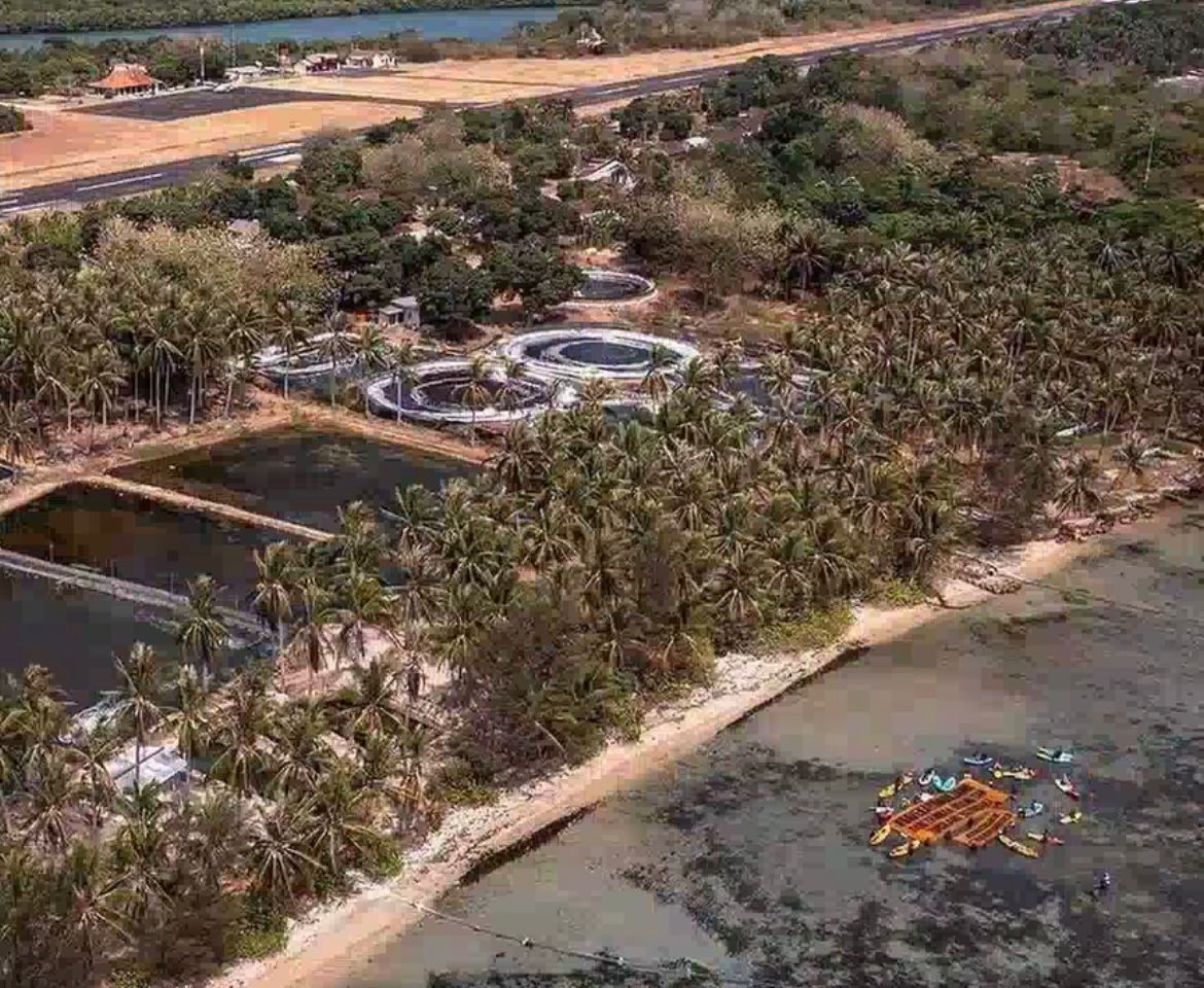 Ilustrasi foto/greenpeace