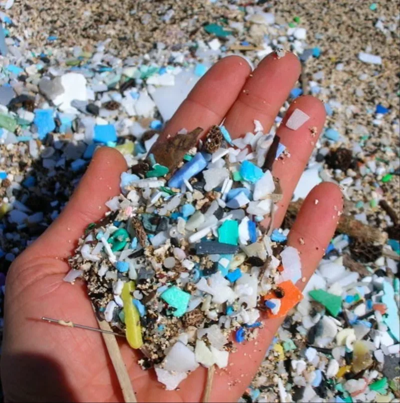 Ilustrasi foto/mediaindonesia