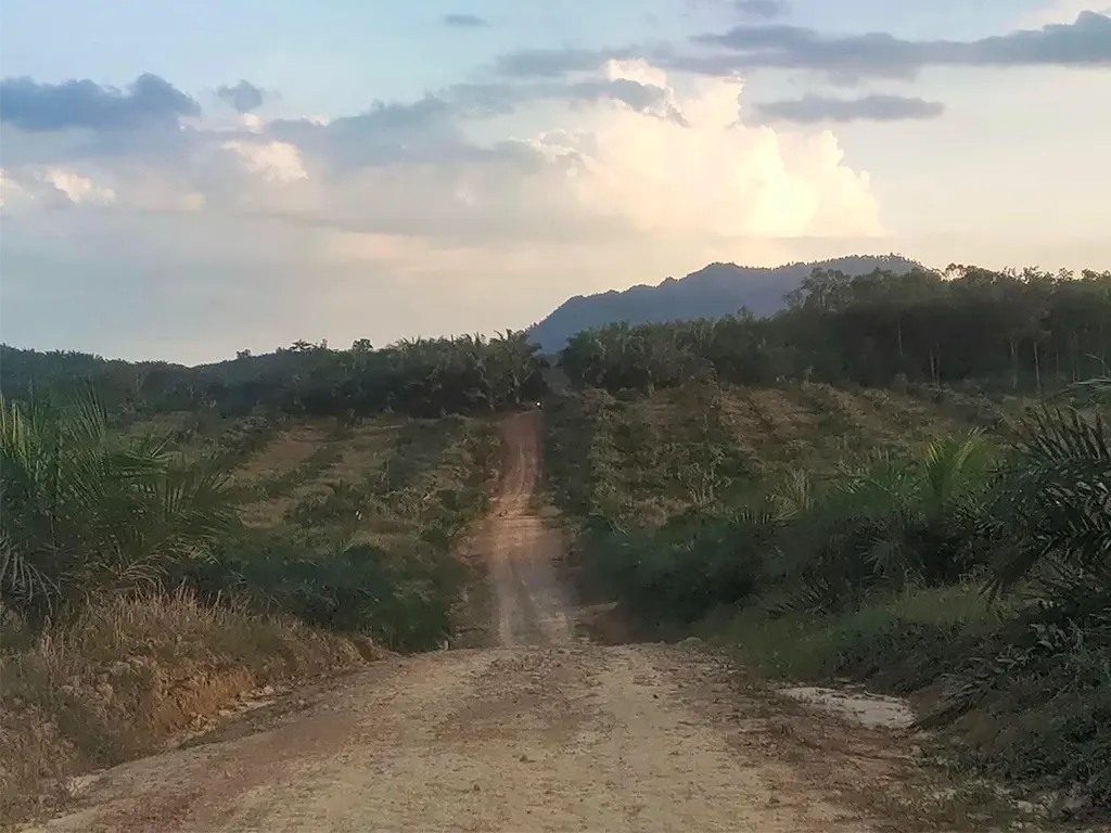 Ilustrasi foto/penulis