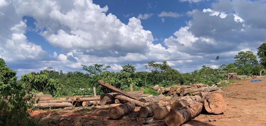 Ilustrasi foto/ekuatorial