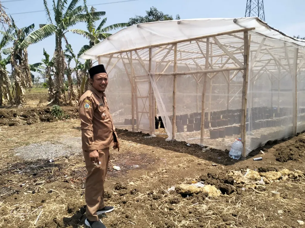 Pemerintah Desa Sukodono, Gresik Jawa Timur, terus mendorong produktivitas pertanian sebagai motor tulang punggung ekonomi warganya. (doc. Sabdanews)