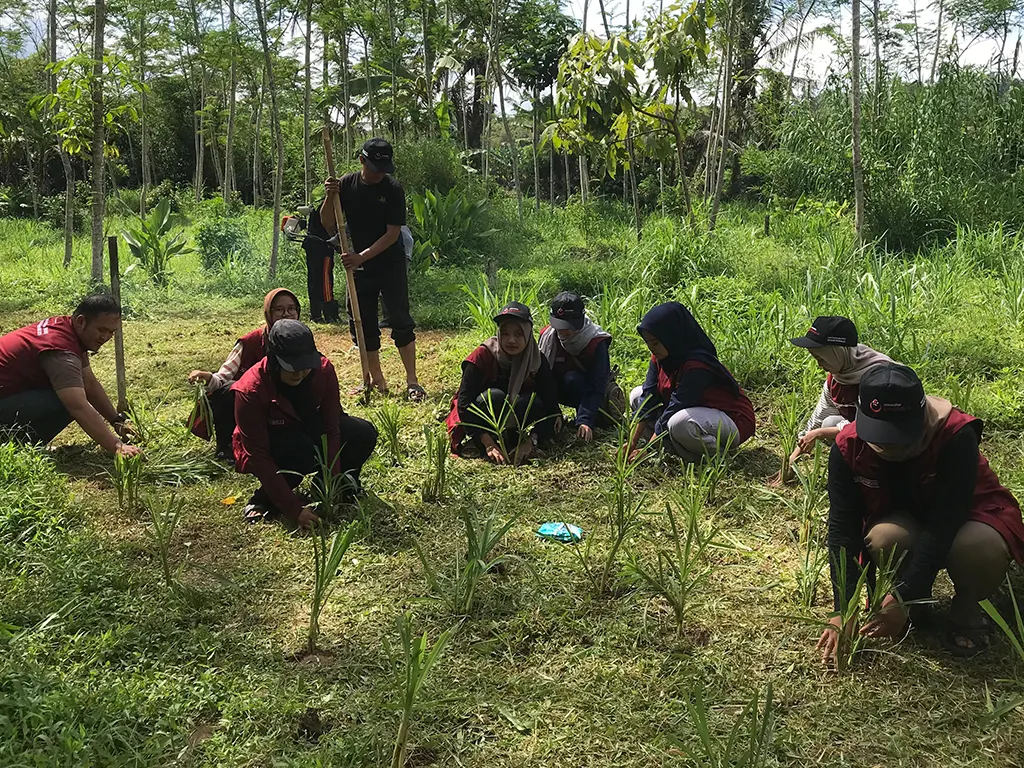 Mahasiswa Kuliah Kerja Nyata (KKN) Universitas Peradaban Bumiayu, Kelompok 10, melaksanakan program penanaman bibit odot sebagai pakan ternak kambing BUMDES di Desa Citepus, Kecamatan Jeruklegi, Kabupaten Cilacap, (26/1/2025). (doc. Pribadi)