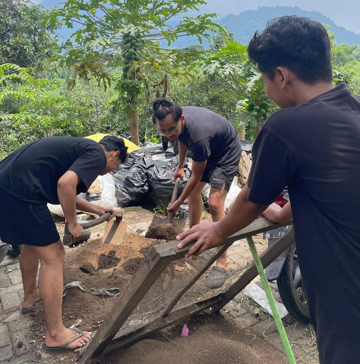 Proses pengalaman kotoran maggot yang nantinya bisa digunakan untuk media tanam. (doc. Pribadi) 