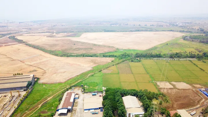 Ilustrasi foto/agroindonesia