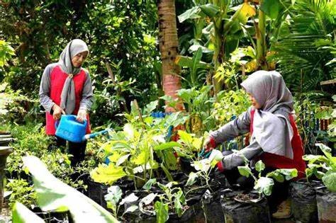 Warga saat melakukan perawat tanaman. (doc. Pribadi)