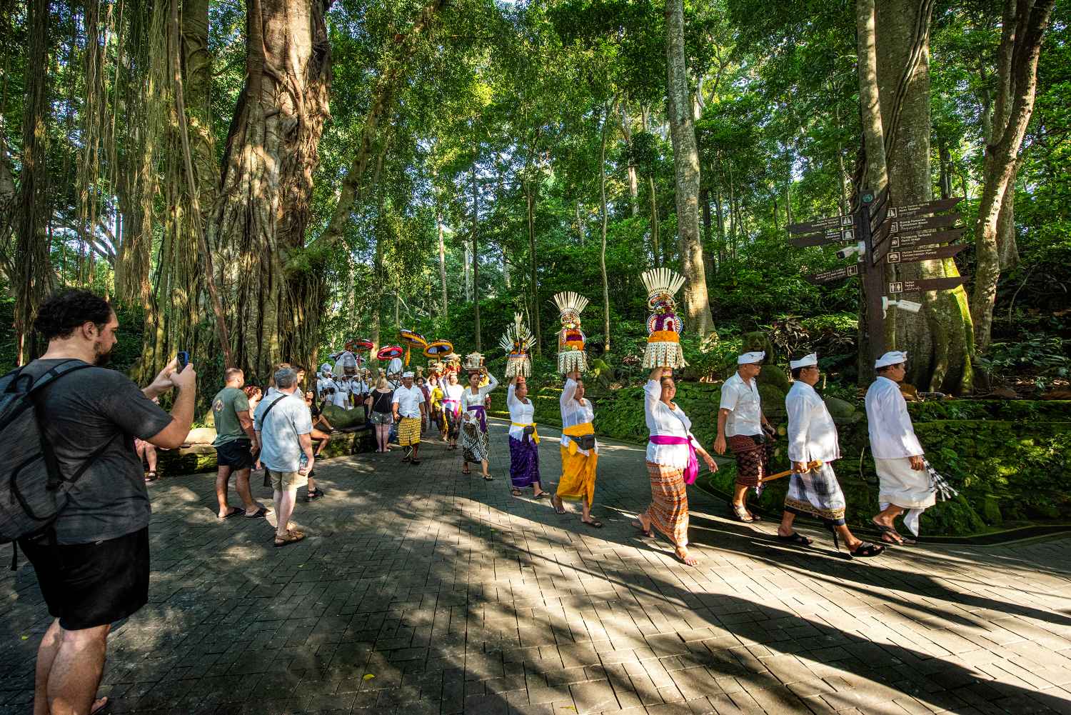 Ilustrasi foto (monkeyforestubud)