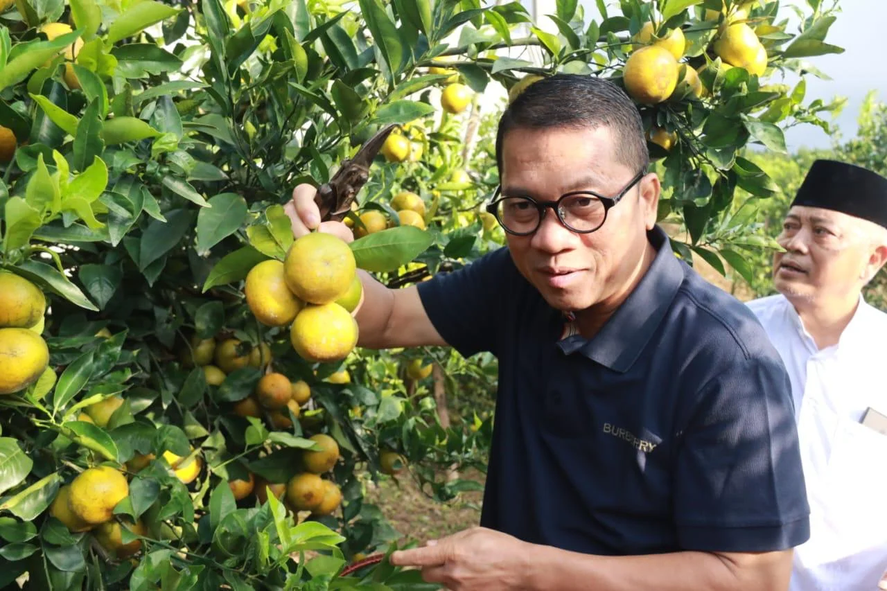 Menteri Desa dan Pembangunan Daerah Tertinggal RI Yandri Susanto bersama Bupati Malang H.M Sanusi saat di kebun jeruk lembah Putri Tidur Kecamatan Dau. (doc. Malangkab.go.id)