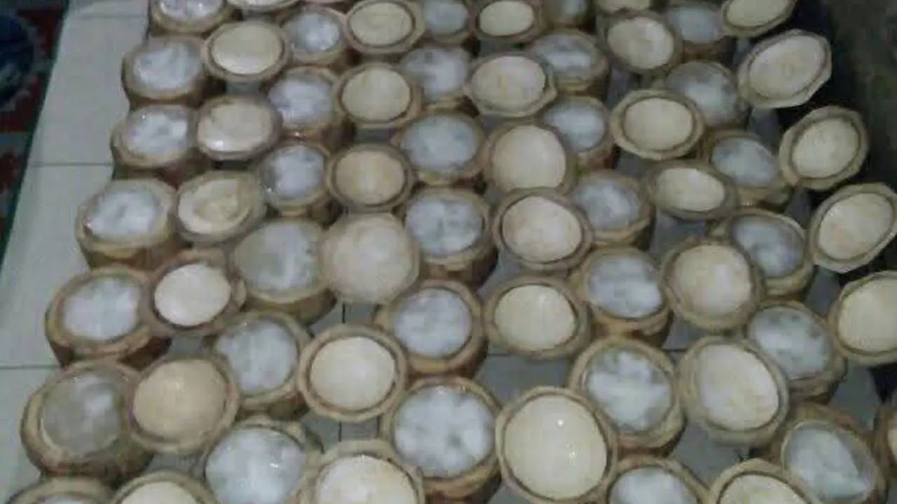 Hasil produksi puding kelapa (30/7/2025). (doc. Qanitah Salma)