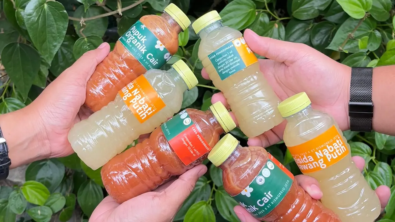 
Inovasi produk pupuk organik cair dari Tim hibah MBKM Fakultas Pertanian UNS. (doc. Tim hibah MBKM Fakultas Pertanian UNS)
