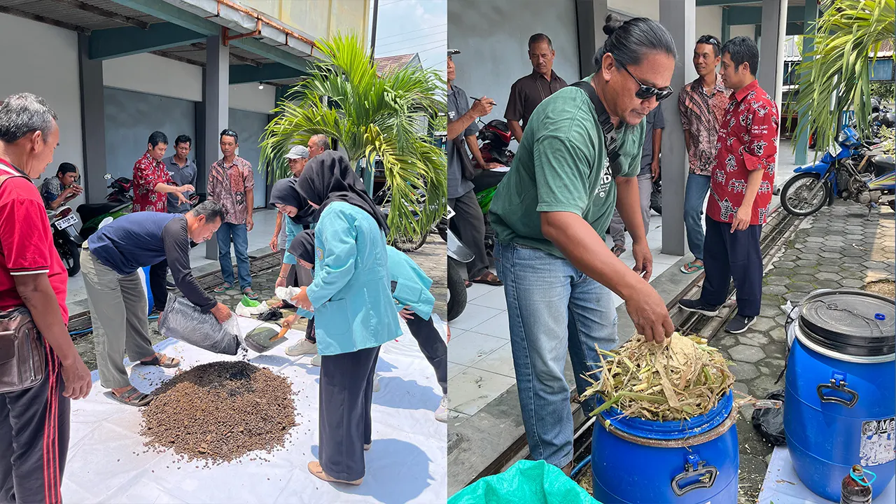 Pelaksanaan praktik pembuatan pupuk organik dari kotoran kambing dan pembuatan pakan ternak dari limbah pertanian. (doc. Tim Hibah UNS 2025)