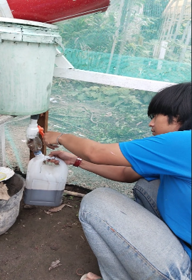 Pemanenan POC. (doc. Tim Hibah MBKM UNS Libo Jaya)