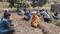 Petugas Penyuluh Lapangan (PPL), Adi Santoso, yang turun langsung memberikan bimbingan teknis kepada para mahasiswa pada Minggu, (14/7/2025). (doc. KKN 153 UINSA) Petugas Penyuluh Lapangan (PPL), Adi Santoso, yang turun langsung memberikan bimbingan teknis kepada para mahasiswa pada Minggu, (14/7/2025). (doc. KKN 153 UINSA)