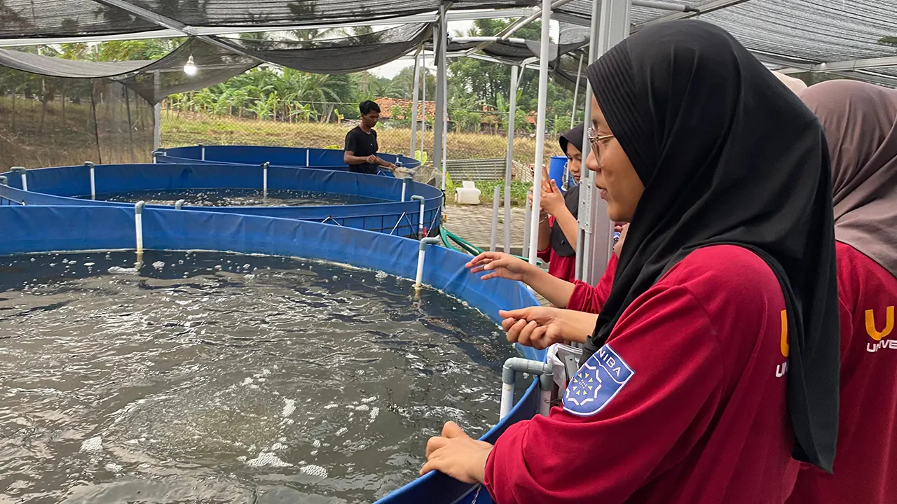Potret mahasiswa KKM Kelompok-83 Universitas Bina Bangsa (UNIBA) saat berkunjung dan memberi pakan di kolam ikan nila desa Sumuranja, Senin (14/07/2025). (doc. Kholishotun Nuroriyah/UNIBA)