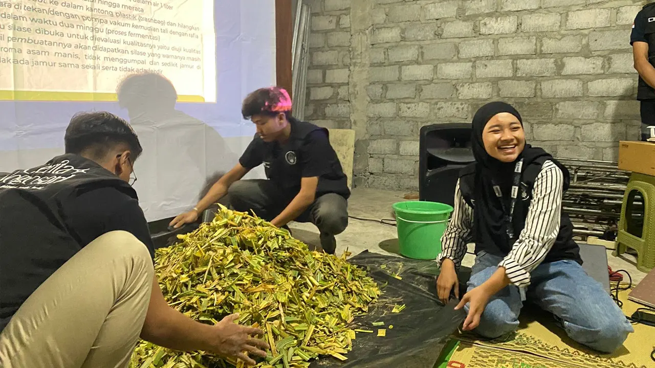 Proses pembuatan silase oleh Mahasiswa KKN UMBY Kelompok 116 116 dalam kegiatan sosialisasi dan pelatihan pengawetan hijauan makanan ternak (Silase) di Dusun Nogosari 1, Imogiri, Bantul. Pelatihan ini berlangsung pada Senin (28/7/2025). (doc. KKN UMBY Kelompok 116)