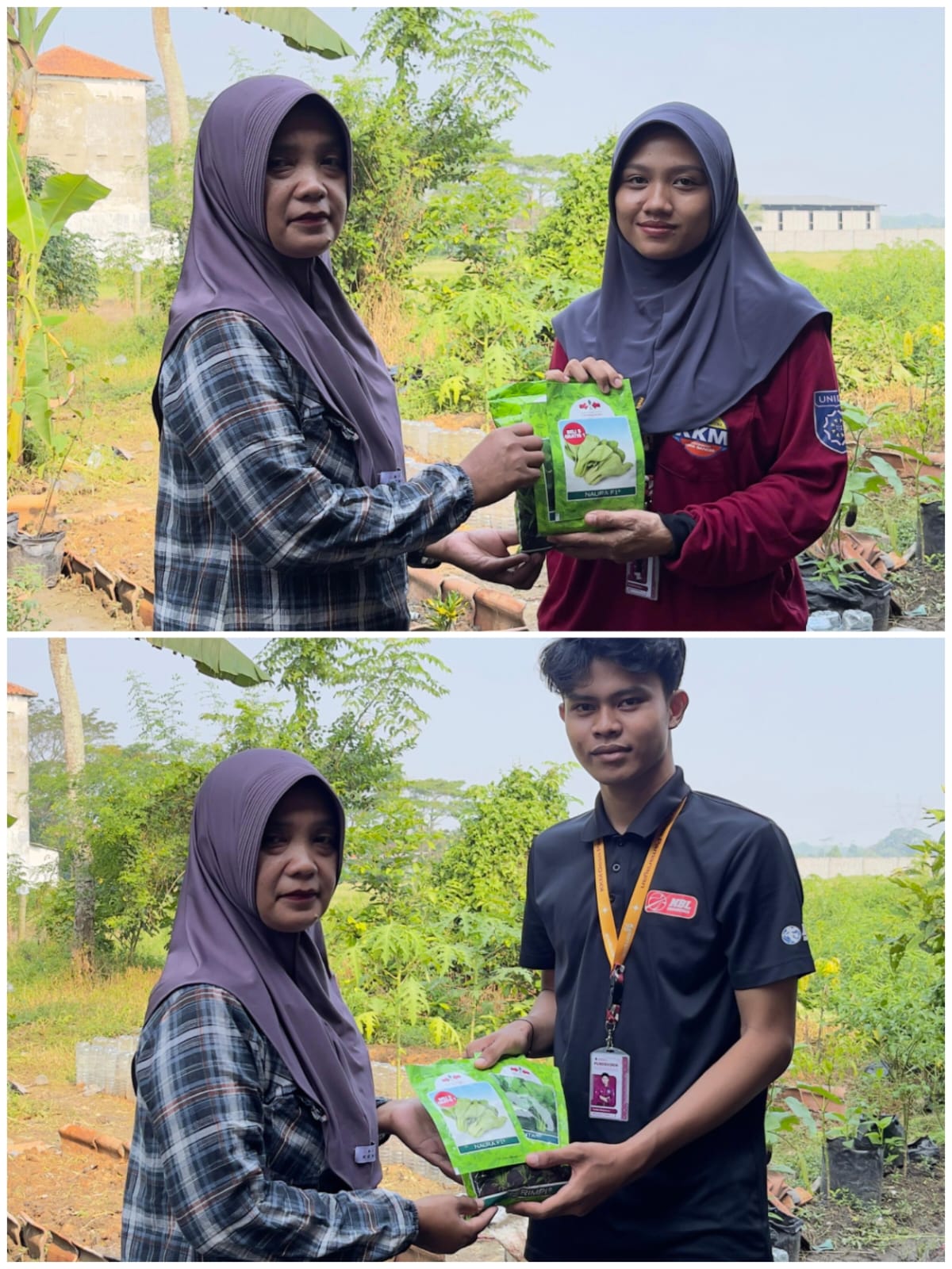 Mahahsiswa KKM 75 UNIBA menyerahkan bantuan berupa benih kangkung, pakcoy, dan sawi. (doc. KKM 75 UNIBA)