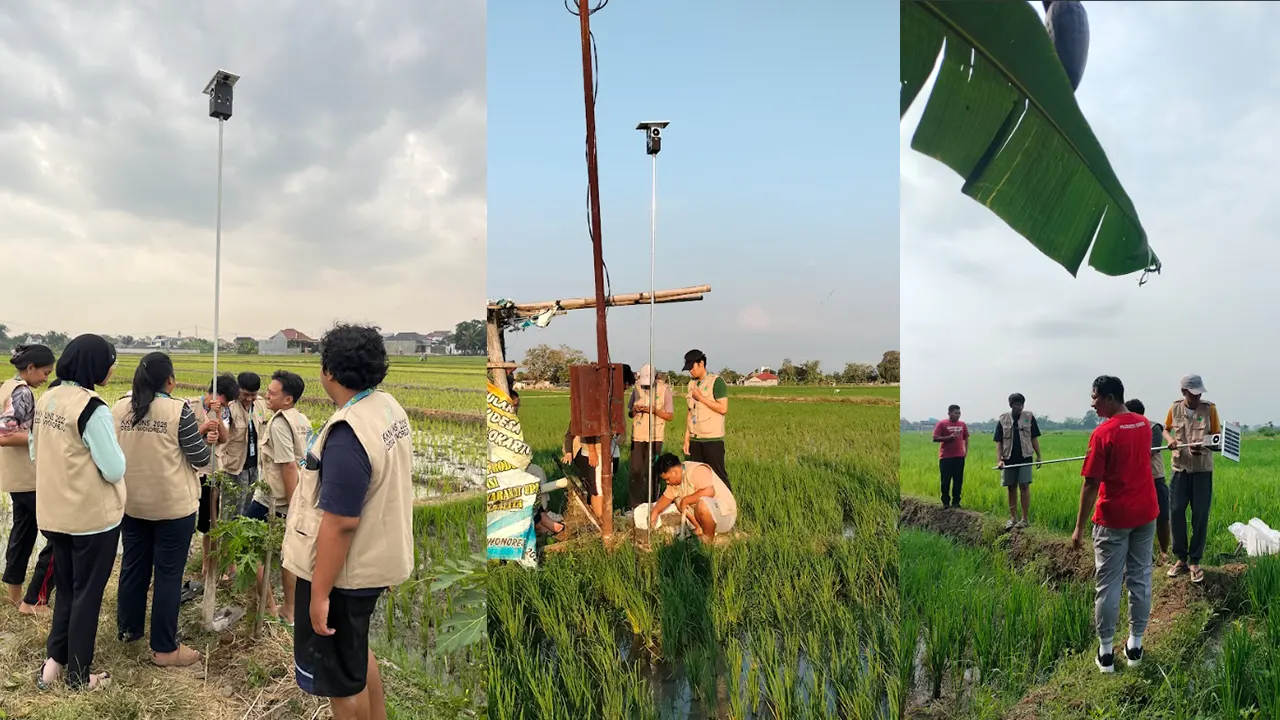 Dokumentasi proses Pemasangan Alat Pembasmi Hama di 3 lokasi. (doc. KKN 308 UNS)