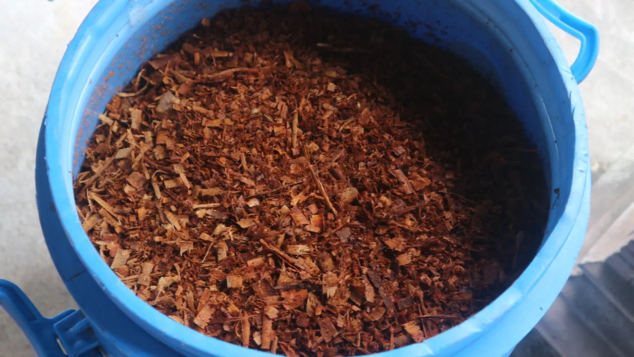 Hasil Fermentasi Serbuk Gergaji. (doc. KKN 298 Sragen)