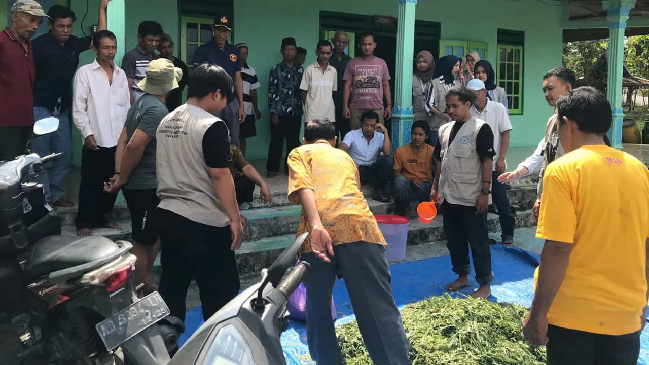 Mahasiswa KKN PPM UMBY saat memberikan pelatihan pembuatan silase sebagai pakan ternak alternatif bagi masyarakat Dusun Kapingan. (doc. Mahasiswa Kelompok 18 KKN-PPM UMBY)