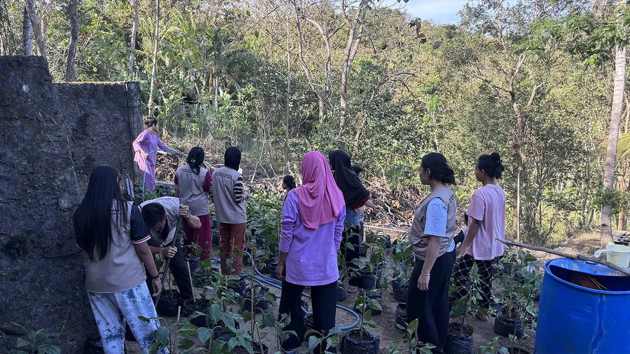 Suasana gotong royong mahasiswa KKN dan anggota KWT saat merawat tanaman di lahan, mencerminkan kekompakan dan semangat kerja sama. (doc. Kelompok 34 KKN-PPM UMBY)