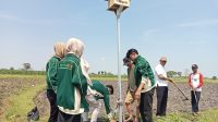 Proses pemasangan Rumah Burung Hantu (Rubuha) di area persawahan desa. (doc. Kelompok KKN Pintar Unugiri Bojonegoro Kelompok 42) Proses pemasangan Rumah Burung Hantu (Rubuha) di area persawahan desa. (doc. Kelompok KKN Pintar Unugiri Bojonegoro Kelompok 42)