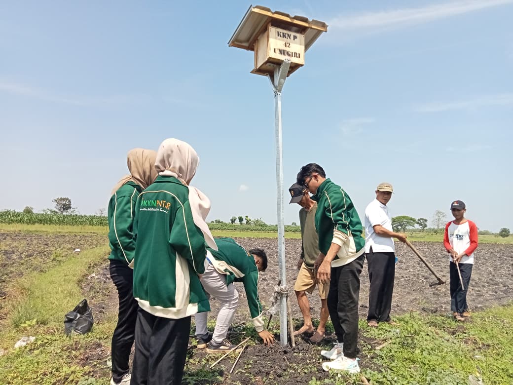 Proses pemasangan Rumah Burung Hantu (Rubuha) di area persawahan desa. (doc. Kelompok KKN Pintar Unugiri Bojonegoro Kelompok 42)