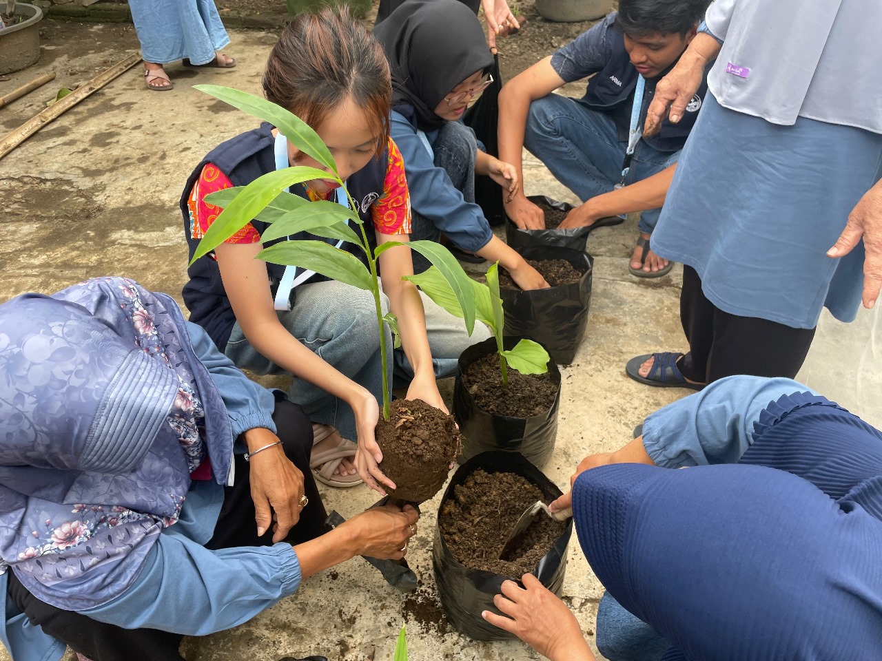 Mahasiswa KKN UNS Kelompok 35 bersama ibu-ibu KWT Desa Maos Kidul, Cilacap, praktik langsung menanam Tanaman Obat Keluarga (TOGA) di polybag. (doc. KKN 35 UNS)