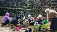 Mahasiswa Untidar bersama siswa SMPIT Ihsanul Fikri menanam tanaman hias dalam kegiatan Greenovation sebagai upaya menciptakan lingkungan sekolah yang lebih hijau dan asri. (doc. pribadi)