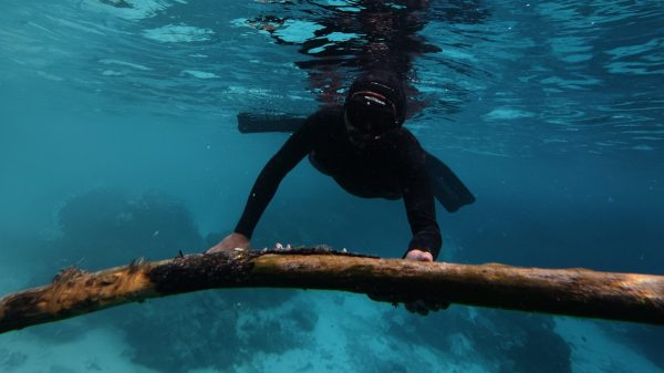 Anggota Tim KKN 338 UNS menyelam di perairan Wakatobi untuk membersihkan sampah laut dalam program Gema Coral Cleaning. (doc. KKN 338 UNS)