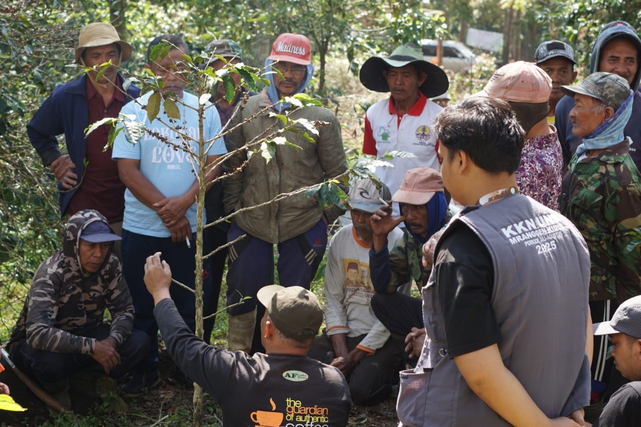 Seorang narasumber dari MPIG KAJSS memberikan penjelasan langsung mengenai teknik perawatan pohon kopi kepada para petani di Desa Mranggen Kidul, Temanggung. (doc. KKN 332 UNS)