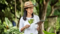 Ilutrasi petugas lingkungan memanfaatkan teknologi digital untuk memantau kondisi tanaman, mencerminkan sinergi antara inovasi dan pelestarian alam seperti yang digagas DLH Kabupaten Langkat. (freepik)