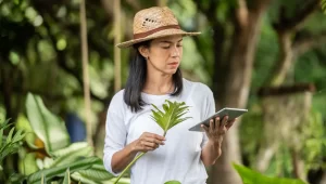 Ilutrasi petugas lingkungan memanfaatkan teknologi digital untuk memantau kondisi tanaman, mencerminkan sinergi antara inovasi dan pelestarian alam seperti yang digagas DLH Kabupaten Langkat. (freepik)