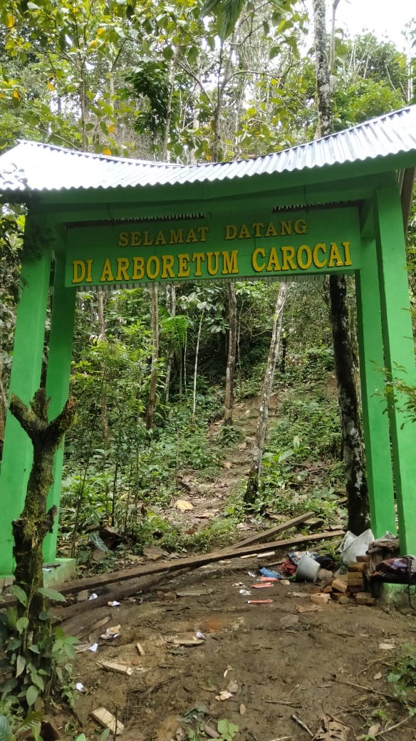 Alboretum Trekking Air Terjun Cigocai Sunsel Ecotourism. (doc. pribadi)