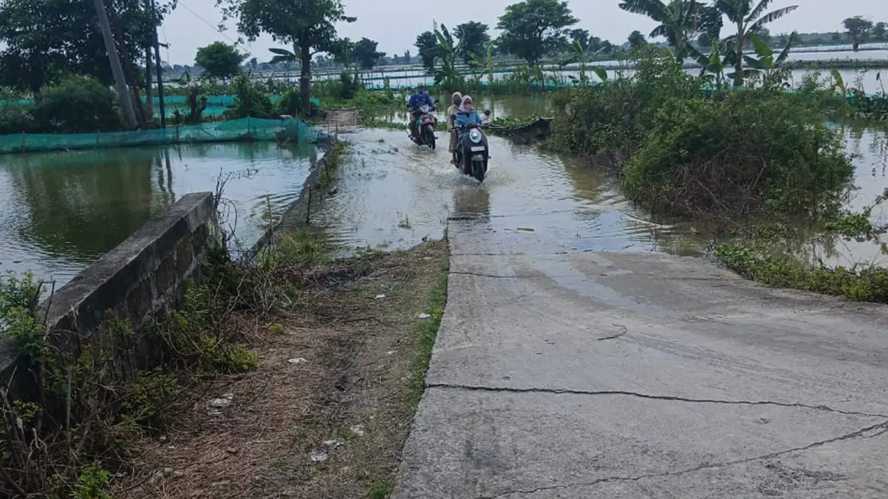 Pengendara sepeda motor melintasi jalan utama Desa Kepudibener, Kabupaten Lamongan, yang tergenang banjir akibat hujan deras. (doc. pribadi)