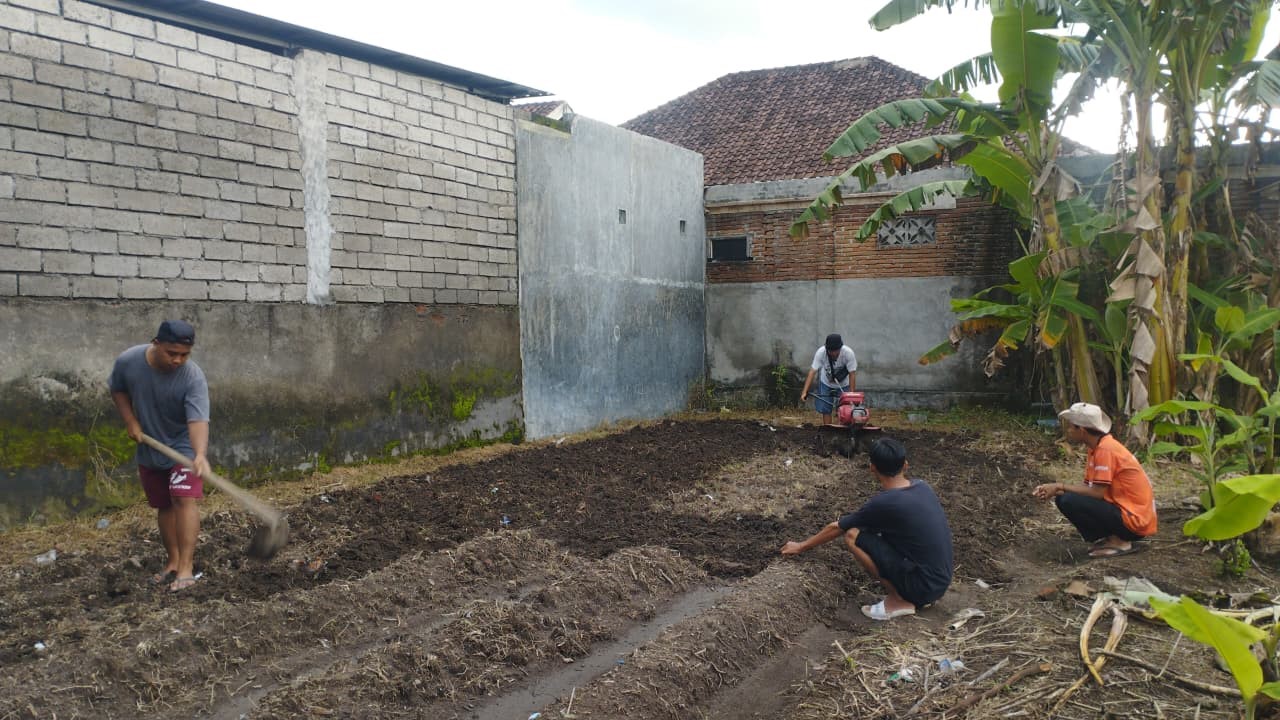 Kegiatan pembuatan bedengan. (doc. pribadi)