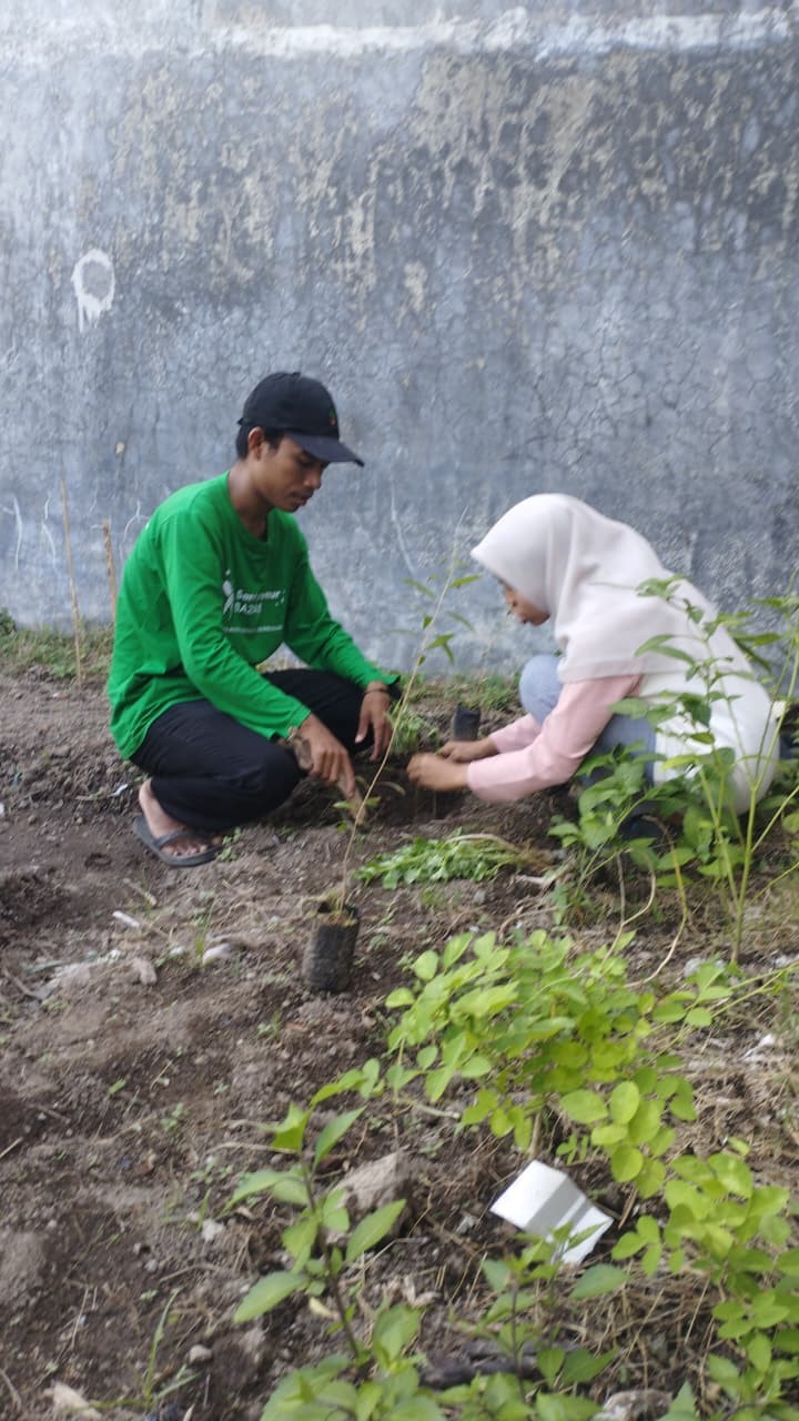 Kegiatan penanaman bibit tanaman. (doc. pribadi)