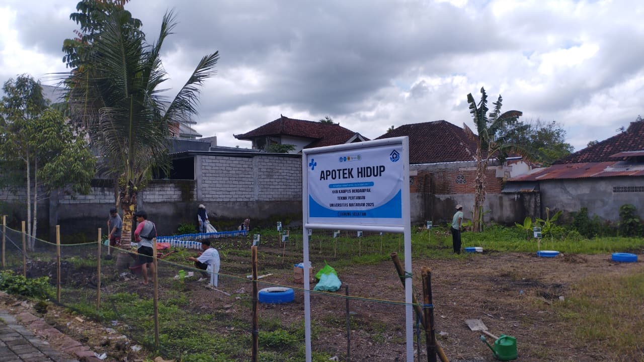 Lahan apotek hidup di Kelurahan Gerung Selatan. (doc. pribadi)