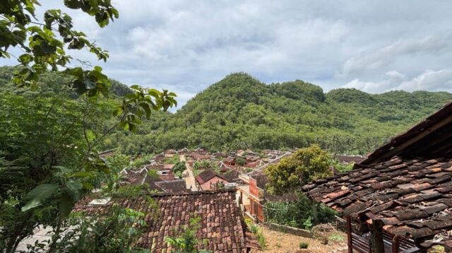 Hamparan rumah beratap genting di Desa Wotawati tampak memadati lembah yang dikelilingi perbukitan hijau. Lanskap khas ini memperlihatkan posisi permukiman yang berada di cekungan, sehingga matahari datang lebih lambat dan senja turun lebih cepat, menjadi daya tarik utama desa wisata di Gunungkidul ini. (doc. pribadi)