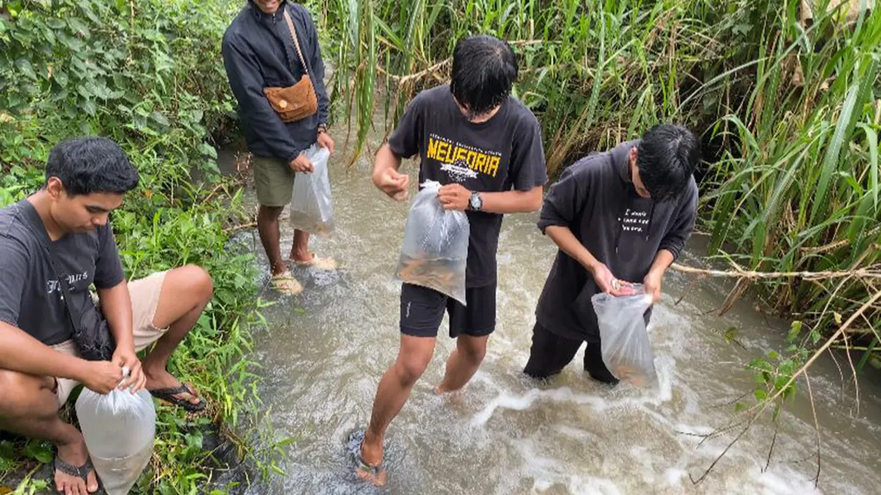Mahasiswa KKN Universitas Tidar bersama pemuda Karang Taruna setempat melepas bibit ikan nilem ke aliran Sungai Elo, Desa Madusari, Kabupaten Magelang, Senin (2/2/2026). (doc. pribadi)