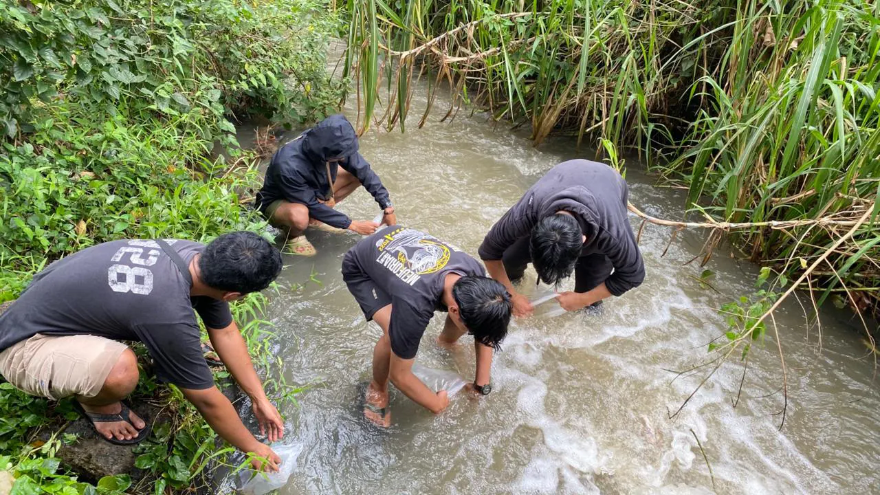Mahasiswa KKN Universitas Tidar bersama pemuda Karang Taruna setempat melepas bibit ikan nilem ke aliran Sungai Elo, Desa Madusari, Kabupaten Magelang, Senin (2/2/2026). (doc. pribadi)