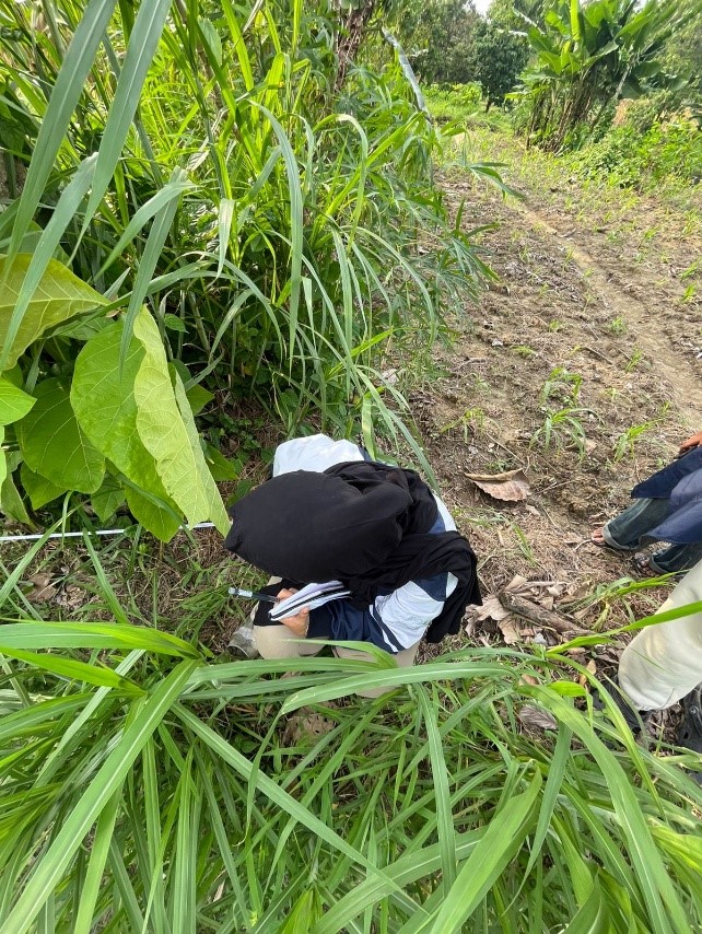 Mahasiswa KKN Universitas Diponegoro (UNDIP) melakukan pendataan dan pengukuran lahan jagung milik petani di Desa Tlogotirto, Kecamatan Sumberlawang, Kabupaten Sragen. (doc. pribadi)