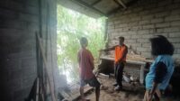 Petugas melakukan peninjauan langsung ke rumah warga di Perumahan Bumi Balung Resident, Desa Balung Lor, Kecamatan Balung, Kabupaten Jember, yang terdampak luapan Sungai Bedadung. (doc. BPBD Kab. Jember)