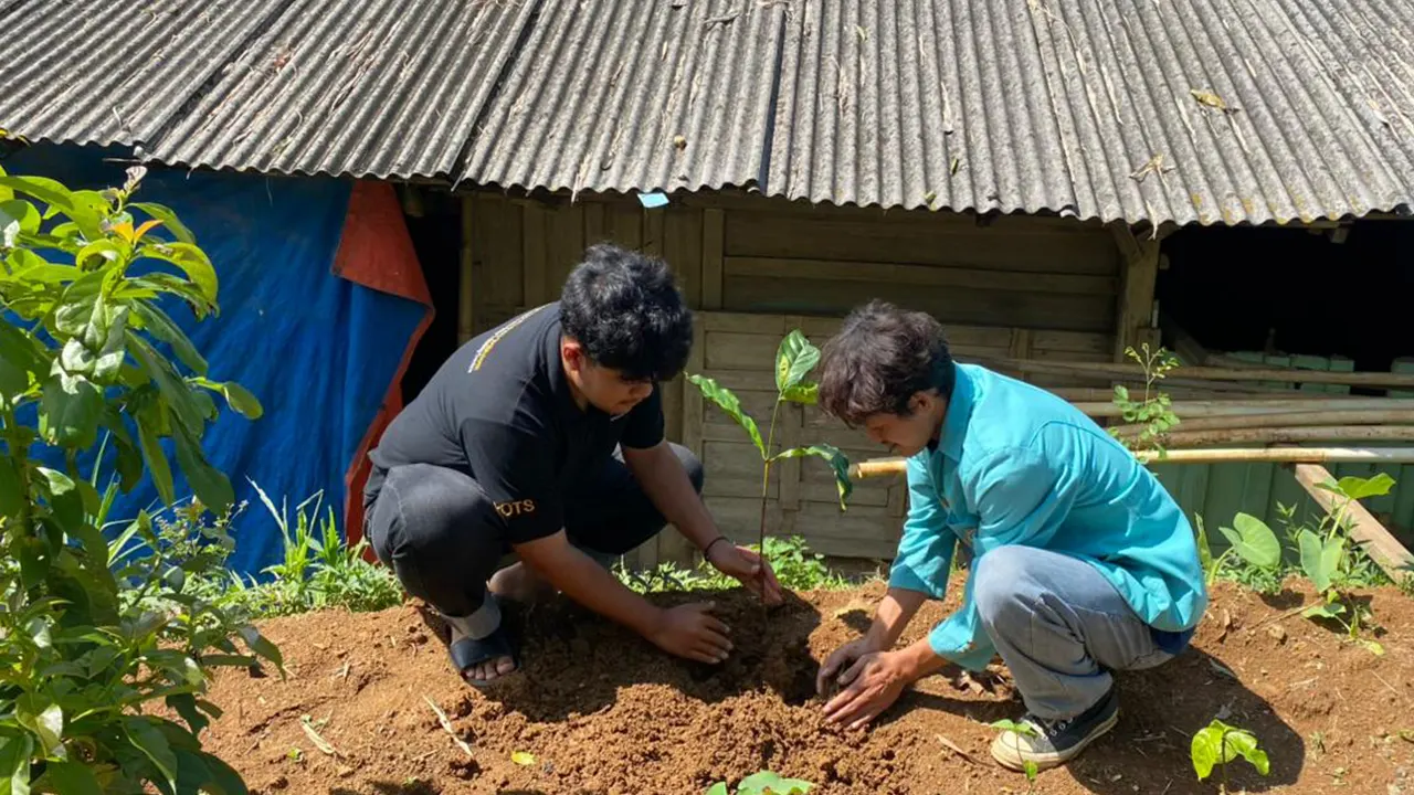 Mahasiswa Magang Berdampak dari Universitas Sebelas Maret bersama warga melakukan praktik penanaman bibit kopi di Desa Semagar, Kecamatan Girimarto, Kabupaten Wonogiri, sebagai bagian dari upaya peningkatan keterampilan budidaya dan produktivitas hasil panen petani setempat. (doc pribadi)
