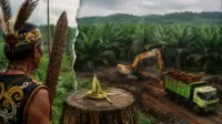 Ilustrasi sengketa tanah ulayat masyarakat adat Dayak dengan perusahaan sawit di Kalimantan yang memunculkan perdebatan tentang pengakuan hukum adat, keadilan agraria, dan keberlanjutan lingkungan. (Ilustrasi: AI/ChatGPT)
